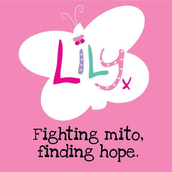 The Lily Foundation logo